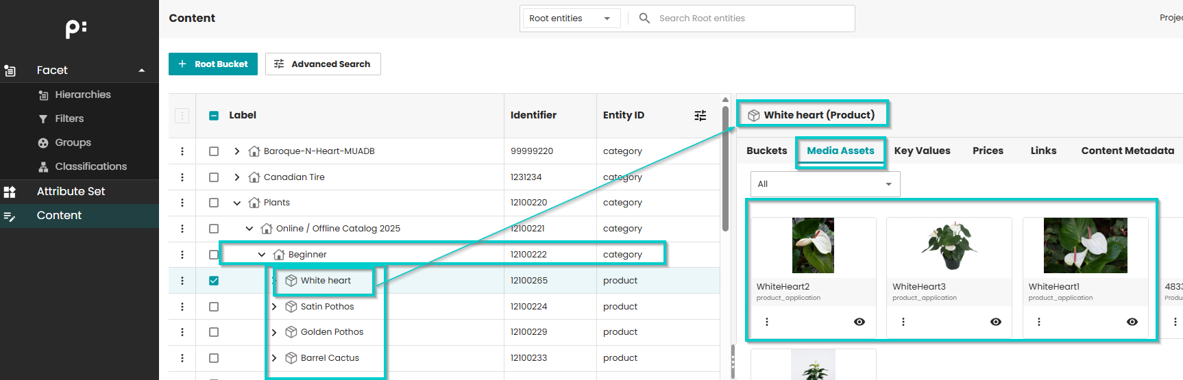 Product image in priint